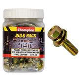 Champion - HEX SET SCREWS SEMS HEX IND FLAT/SPRING WASHERS M6 x 12mm | CBP189